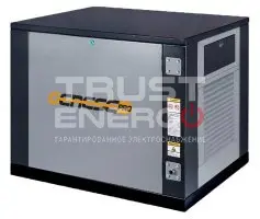 Газовый генератор Genese Pro 5000 Neva кожухе с АВР